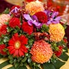 president. Danny's Flower